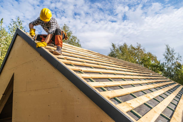 Roof Gutter Cleaning in Pauls Valley, OK